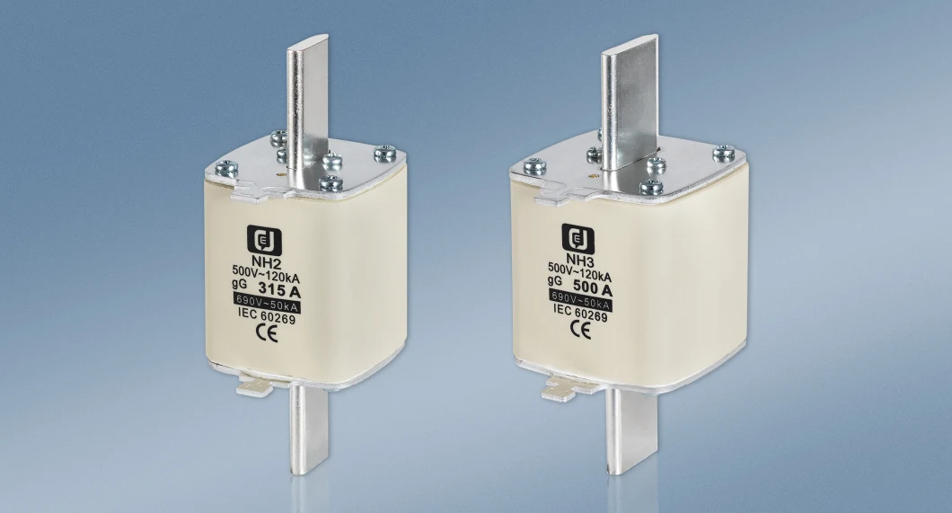 Nh2 Series Low Voltage Link Fuse with Fuse Holder